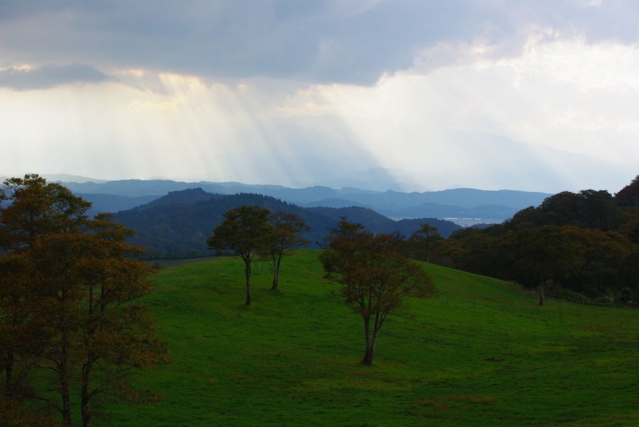 宝栄牧場(鍋越峠)Houei Ranch nearby Nabekoshi Pass