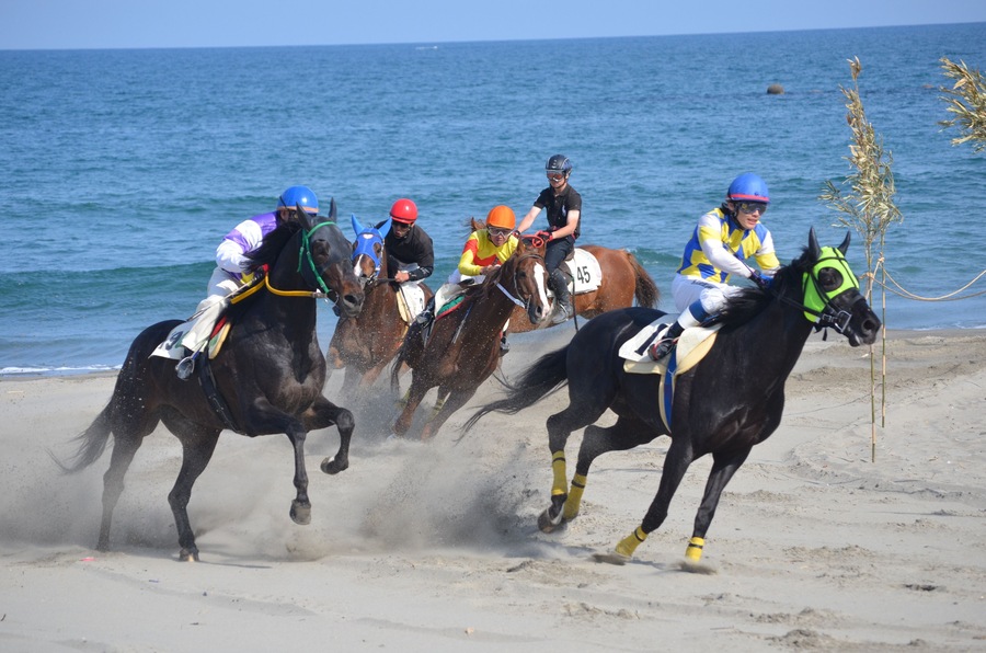 2014年・第38回さがら草競馬大会の写真です。大会の終盤、決勝レースの模様です。