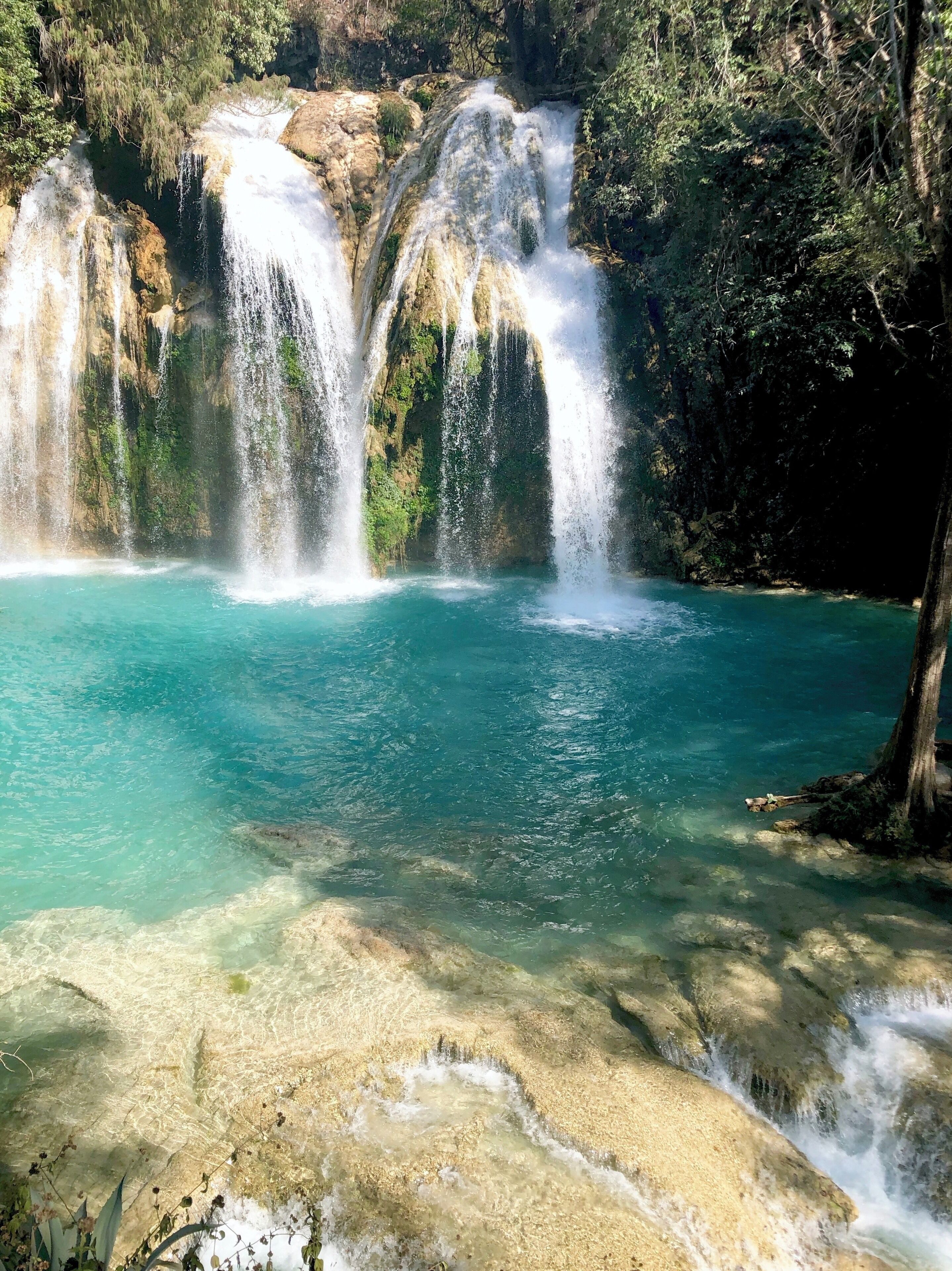 #cascada #chiapas #waterfall #blue #nature #clean #clear #adventure