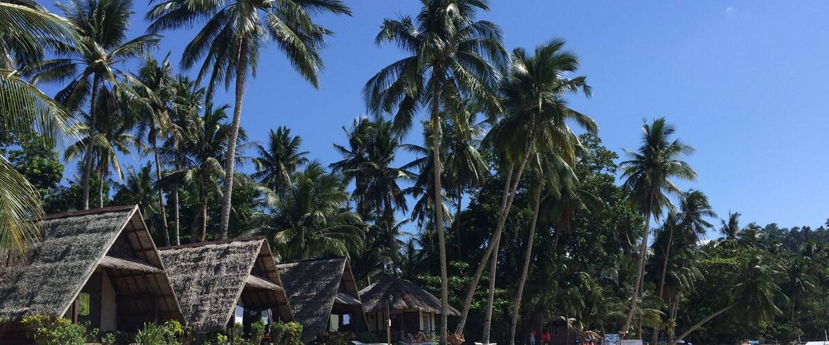 A beach with palm trees and thatched-roof huts.