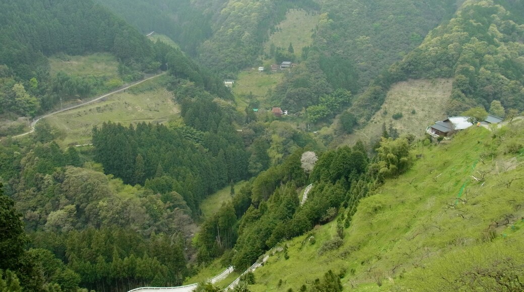 谷奥深の集落を望む Taniobuka 2012.4.25