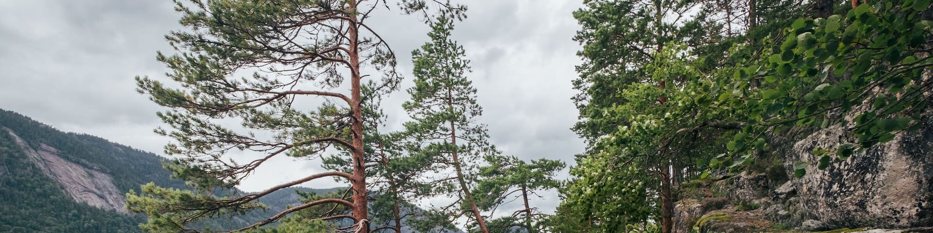Hamaren Activity Park wooden walkway wide angle view photo. Walking along Fyresvatnet lake surraunded pine trees forest during late summer windy day. Traveling and beauty of Scandinavia concept.