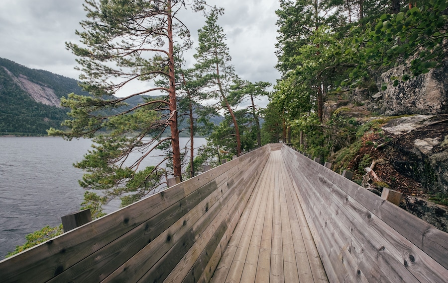 Hamaren Activity Park wooden walkway wide angle view photo. Walking along Fyresvatnet lake surraunded pine trees forest during late summer windy day. Traveling and beauty of Scandinavia concept.