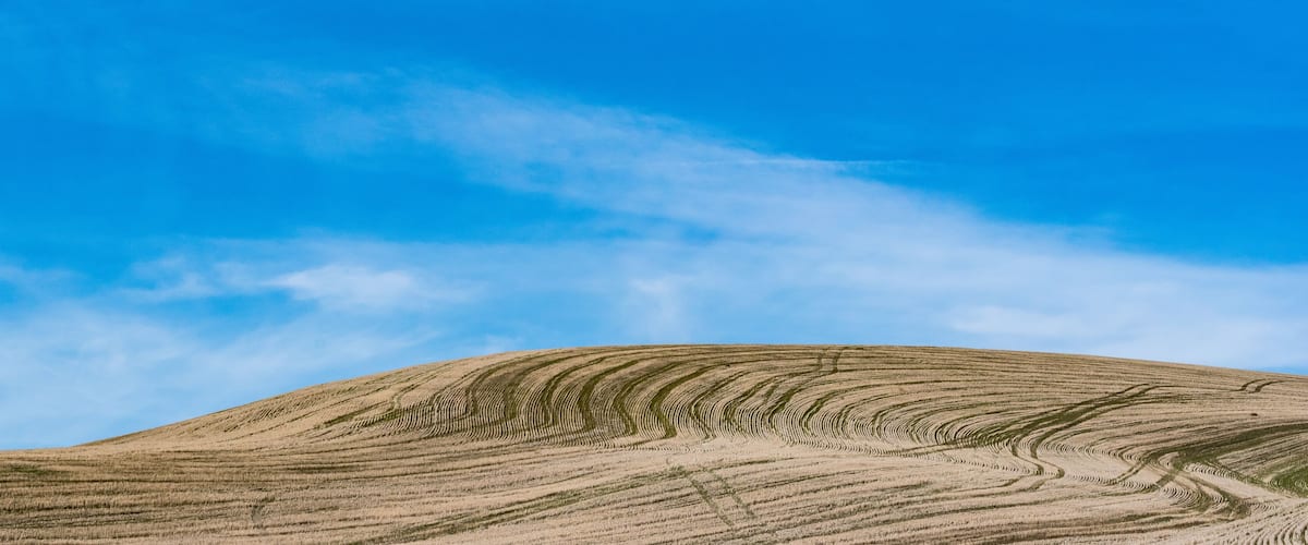 A rolling hill with distinct furrows under a clear blue sky.