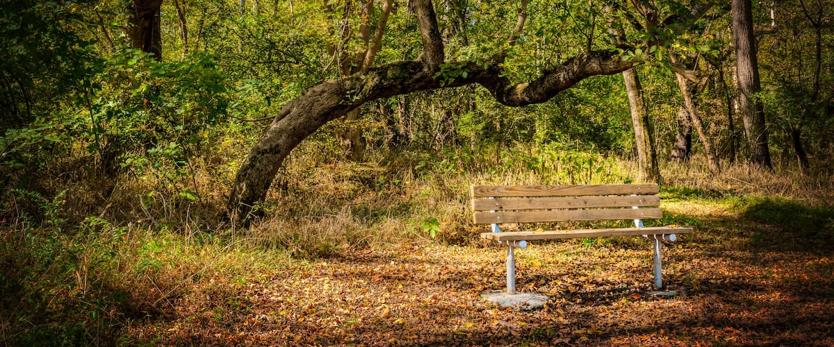 Empty bench at Haw River at Swepsonvile River Park