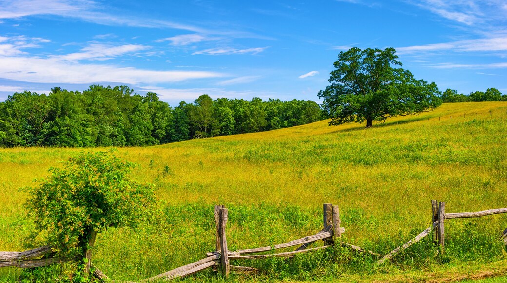 Blue Ridge Parkway Scenic Landscape