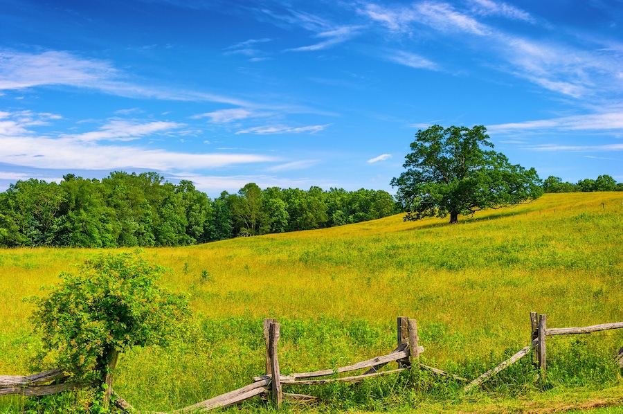 Blue Ridge Parkway Scenic Landscape