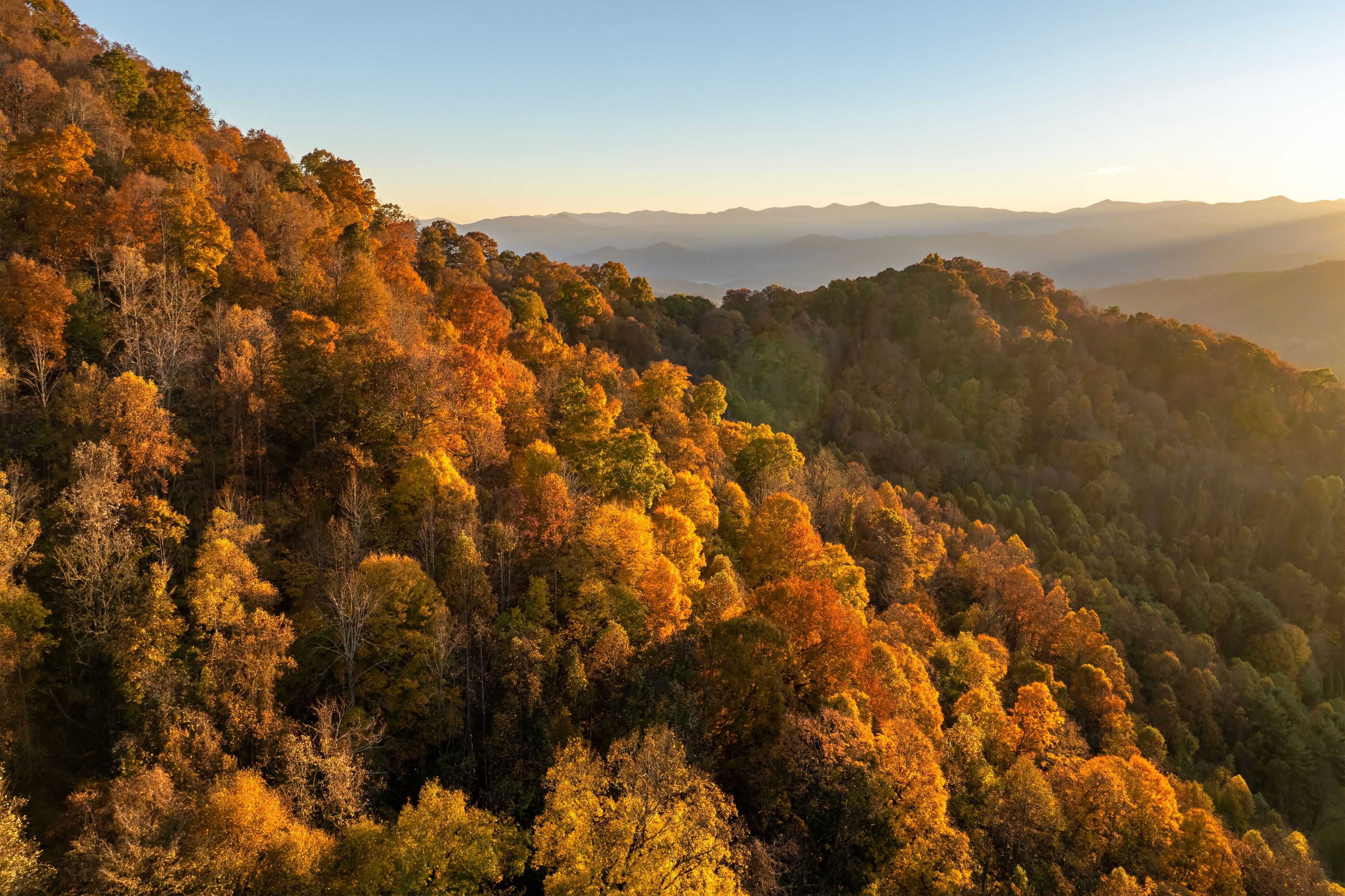Wooded sunset hills of Appalachian mountains in North Carolina with lush and evergreen forest trees at fall season. Beauty of autumnal nature