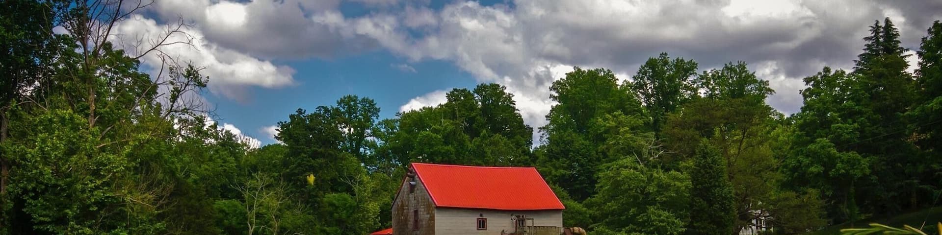 The Old Mill in Spring Time