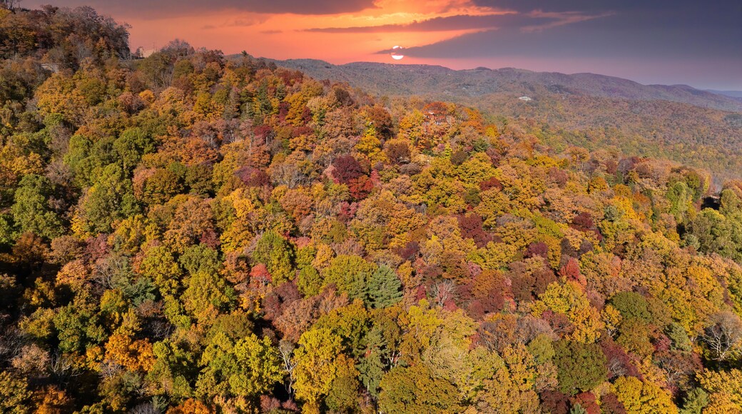 Fall forest on Appalachian mountain hills at sunset with brightly illuminated lush and pine woods. Autumnal landscape of beautiful nature