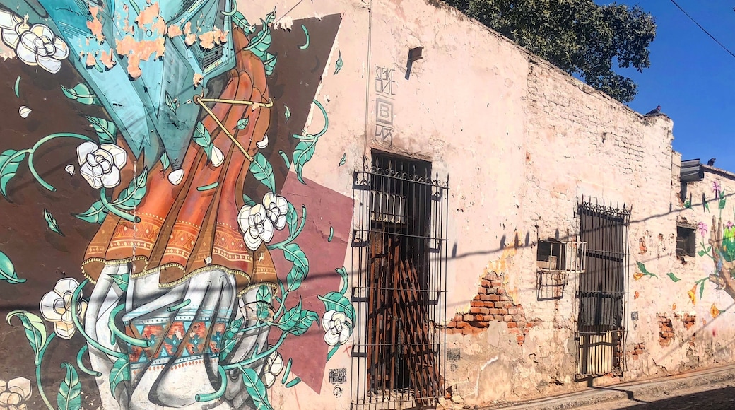 #streetart #lifeatexpedia #visitmexico