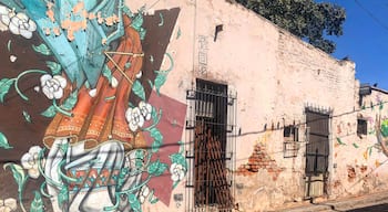 #streetart #lifeatexpedia #visitmexico