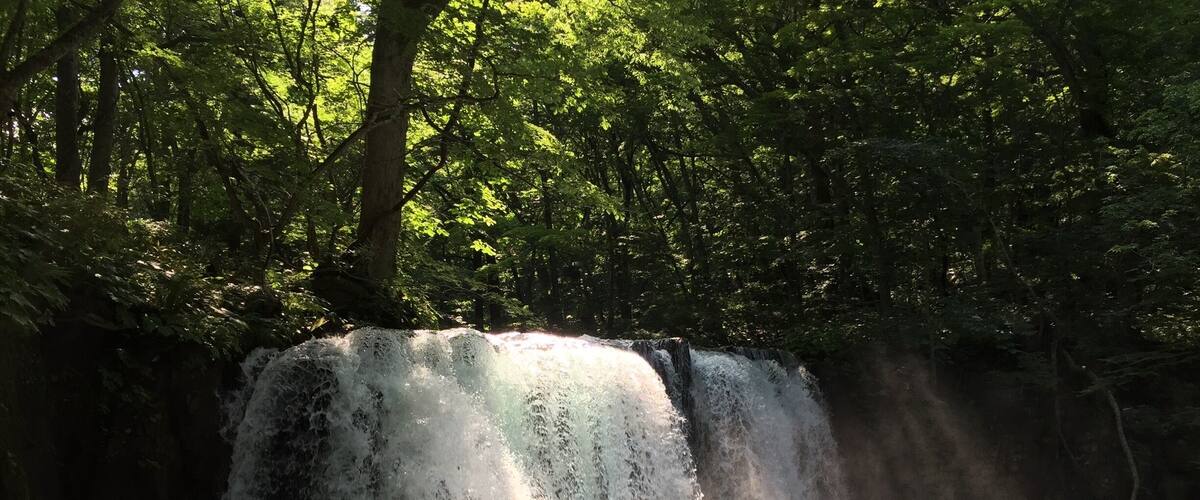 A waterfall surrounded by dense forest.