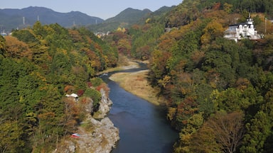 An Image of Tama River; Shutterstock ID 206304574