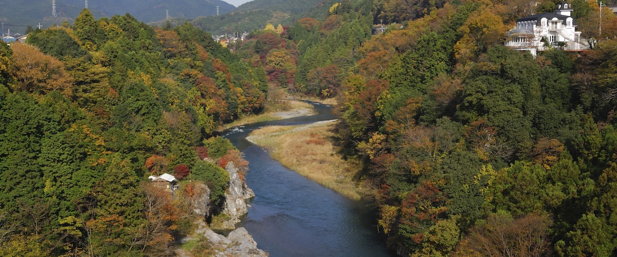 A river winding through a forested valley with a mountain backdrop and a white building on the right.