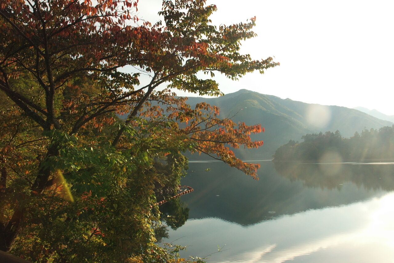A calm lake with autumn foliage and distant mountains.