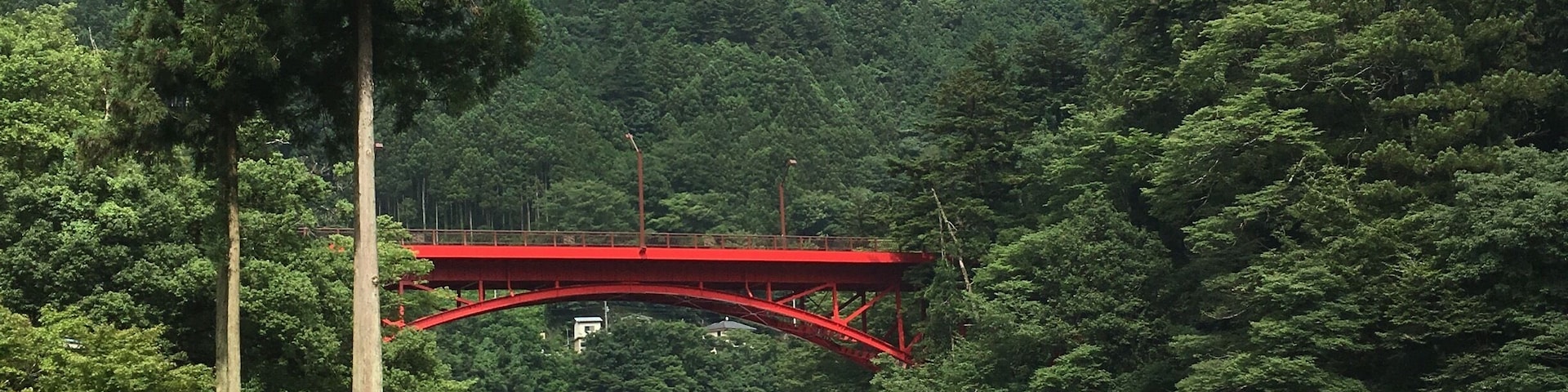 Okutama, west boarder area of larger Tokyo where surrounded by high 1000m mountains and gorges. Good for summer heat escape by two hours train ride.