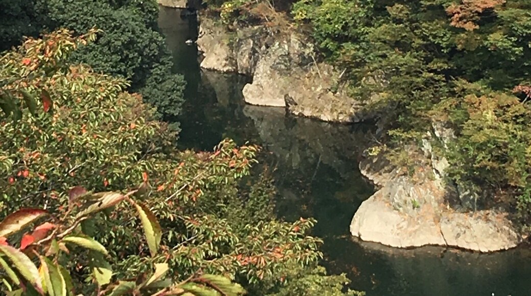 Took the train to this part of Gunma trying to catch a glimpse of the autumn leaves at the gorge but as you can see it was still too early then! Ended up with a surprise though ... See next few pictures!