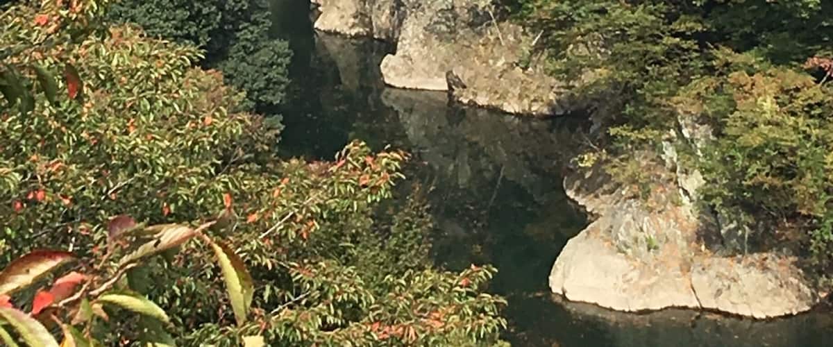 Took the train to this part of Gunma trying to catch a glimpse of the autumn leaves at the gorge but as you can see it was still too early then! Ended up with a surprise though ... See next few pictures!