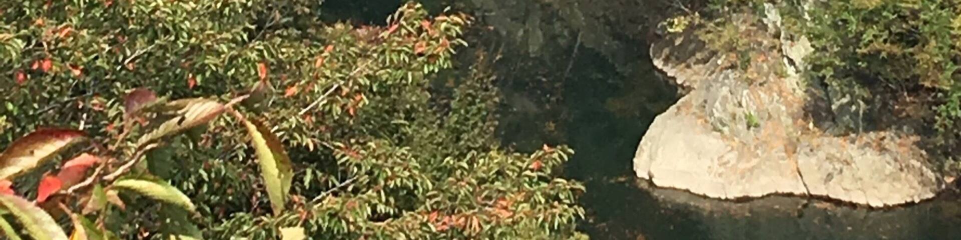 Took the train to this part of Gunma trying to catch a glimpse of the autumn leaves at the gorge but as you can see it was still too early then! Ended up with a surprise though ... See next few pictures!