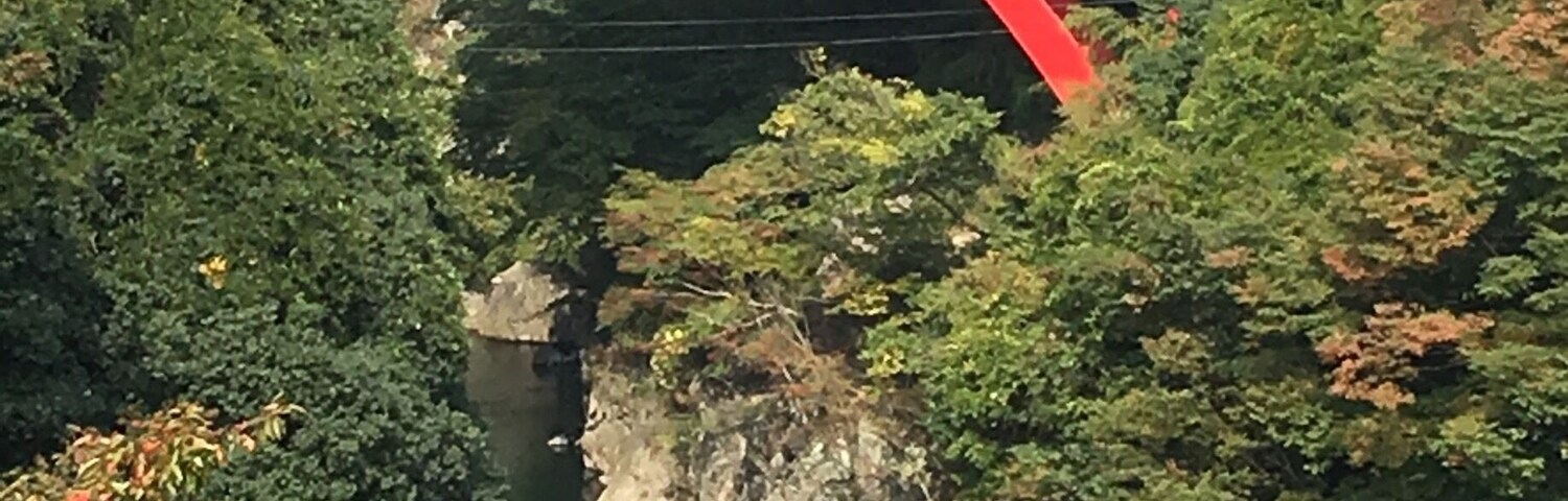 Took the train to this part of Gunma trying to catch a glimpse of the autumn leaves at the gorge but as you can see it was still too early then! Ended up with a surprise though ... See next few pictures!