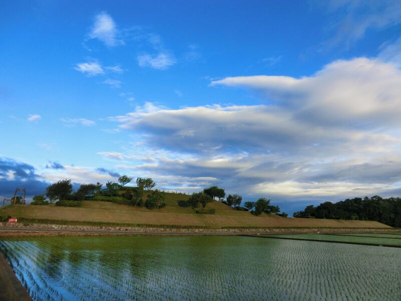 蔓巻公園 2011年5月（台風一過）