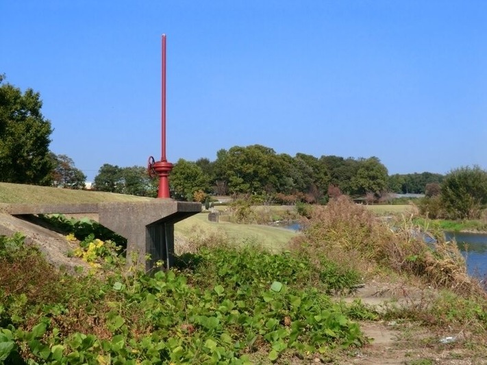 蔓巻公園 2011年11月
