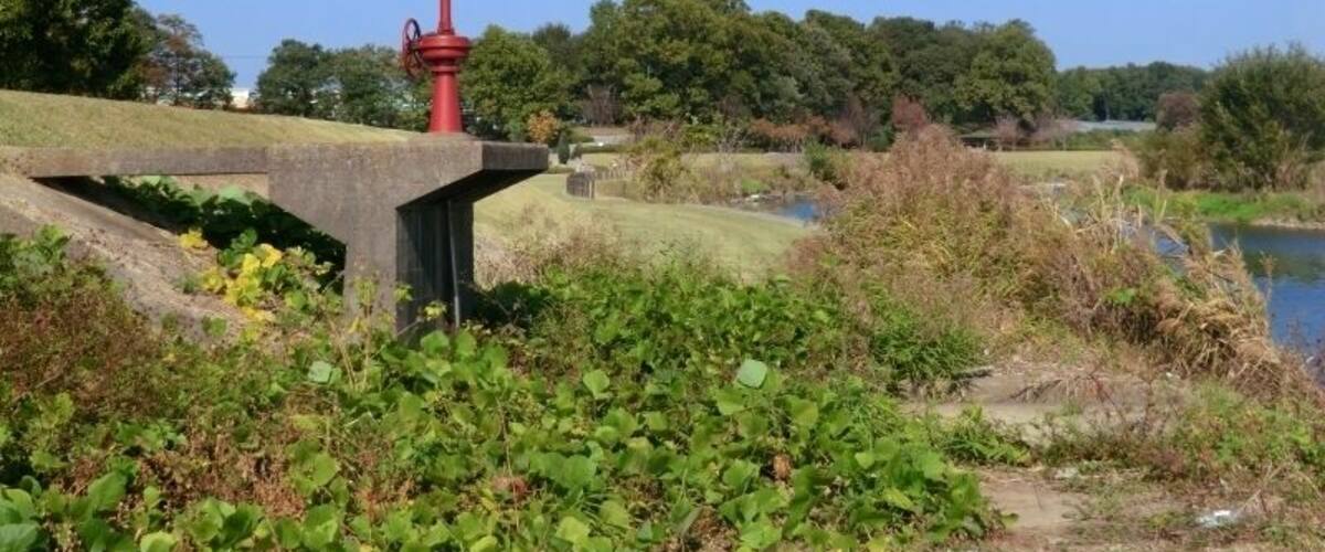 A red monument on a concrete platform by a river, surrounded by greenery and trees.