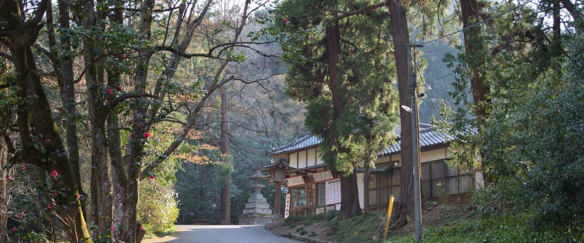 A traditional Japanese temple surrounded by trees and a paved path.