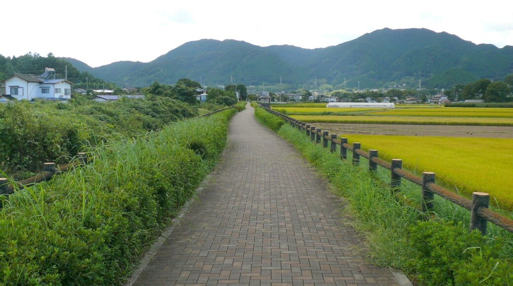Jobu Railway Yorishima-Kamikawa chugakkou mae Sta.(Kamikawa, Saitama, Japan).