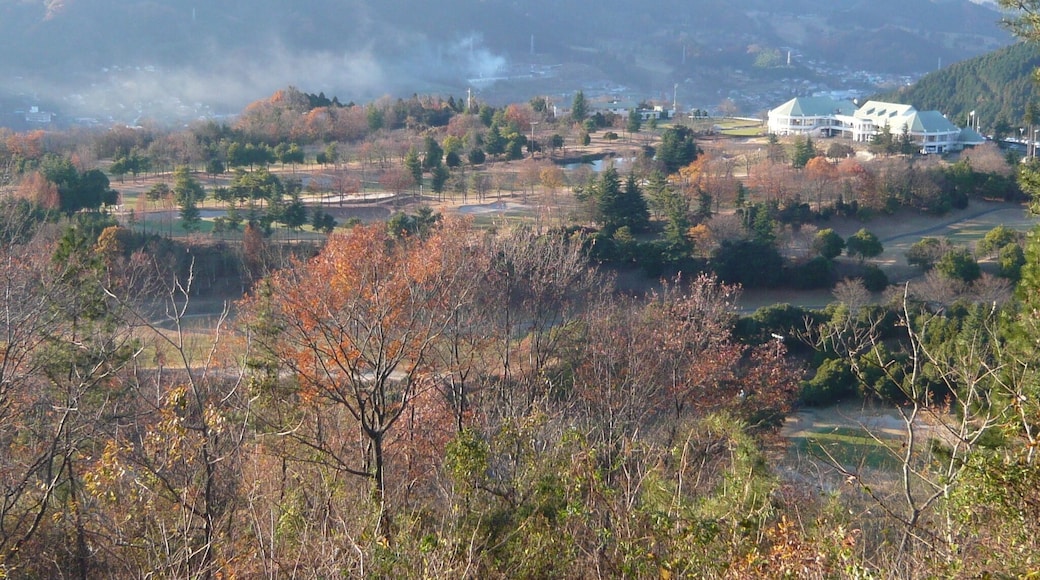 ็จฒๆฒขใใคใญใณใฐใณใผใน๏ผ