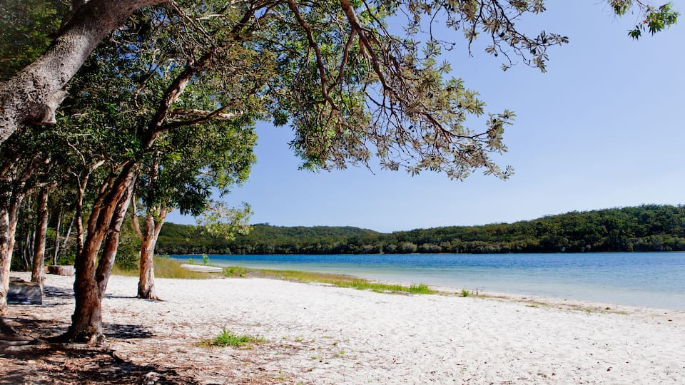 A beach with white sand, trees, and a lake.