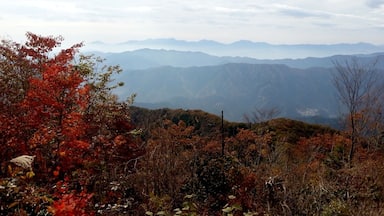 Looking south from the summit of Mount Otake. Ome, Tokyo, Japan.