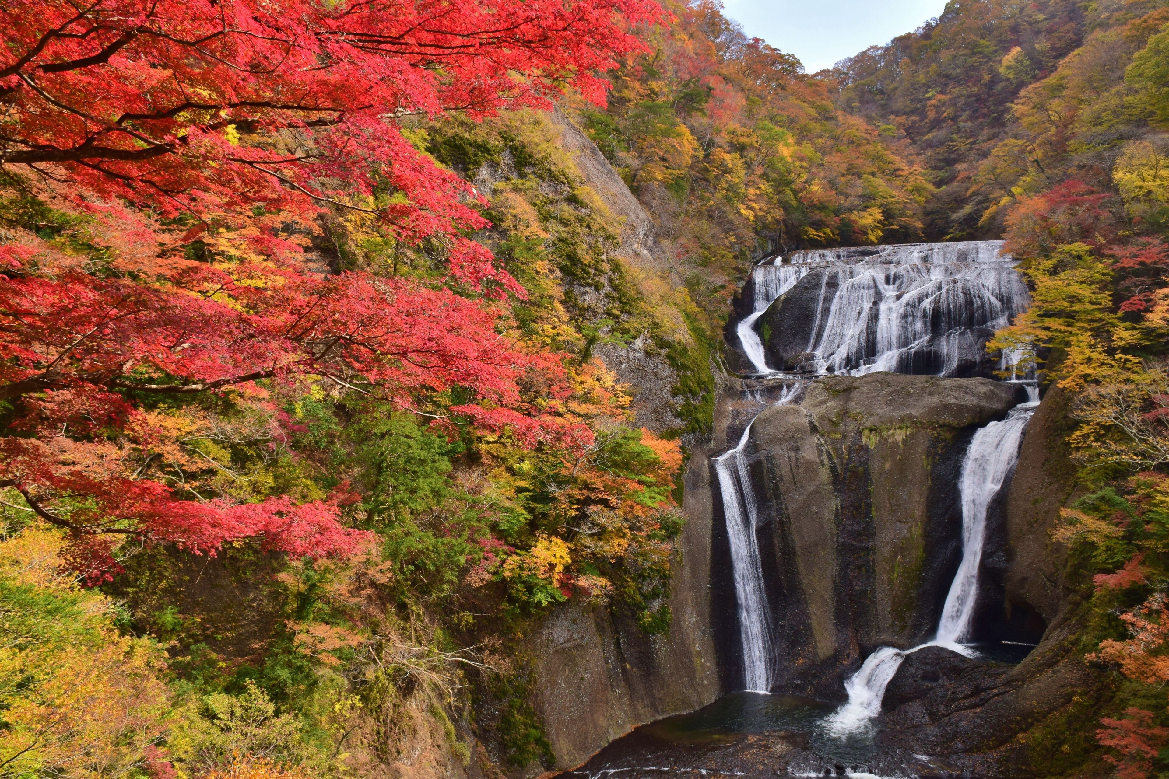 A waterfall cascading down a rocky cliff surrounded by autumn foliage.