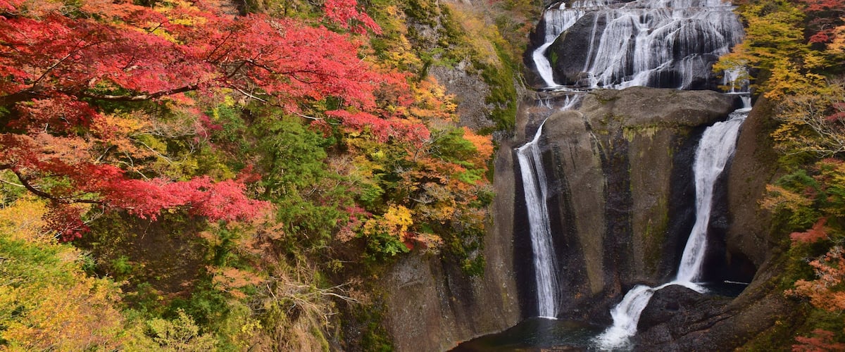 A waterfall cascading down a rocky cliff surrounded by autumn foliage.