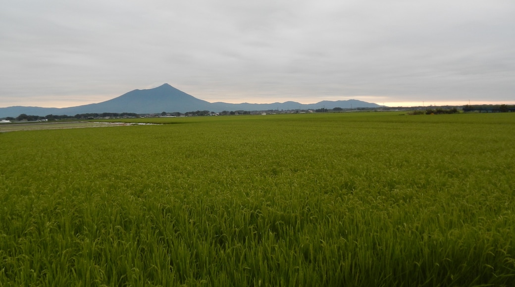 Shitamiya, Shimotsuma, Ibaraki Prefecture 304-0013, Japan