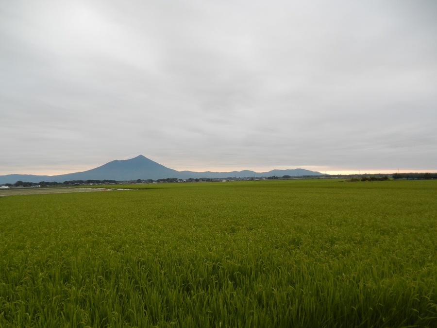 Shitamiya, Shimotsuma, Ibaraki Prefecture 304-0013, Japan