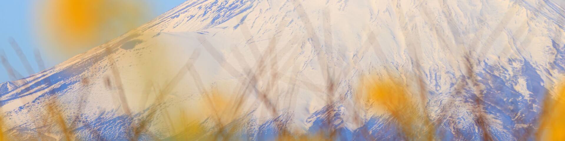 初日の出を受ける美しい富士山と満開の菜の花畑。
日本国神奈川県中郡二宮町、吾妻山公園にて。
2022年1月1日撮影。
Beautiful Mt. Fuji receiving the first sunrise and fields of rape blossoms in full bloom.
At Azumayama Park, Ninomiya-cho, Naka-gun, Kanag