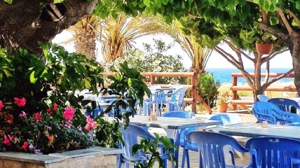 A seaside patio with blue plastic chairs and tables, surrounded by lush greenery and a view of the ocean.