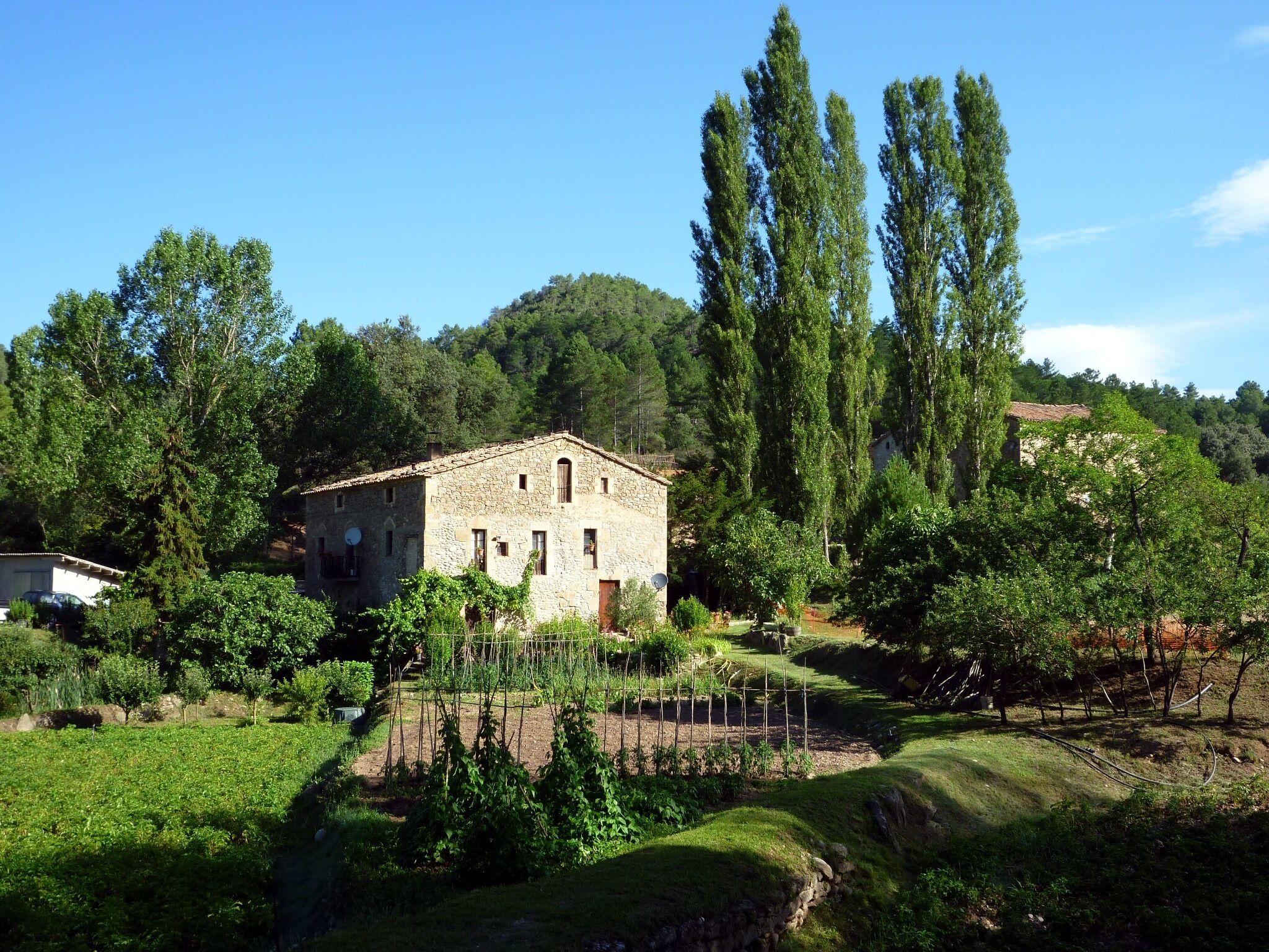 Molí de la Ginebrosa (Lladurs)