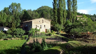 A stone house surrounded by lush greenery and tall trees.