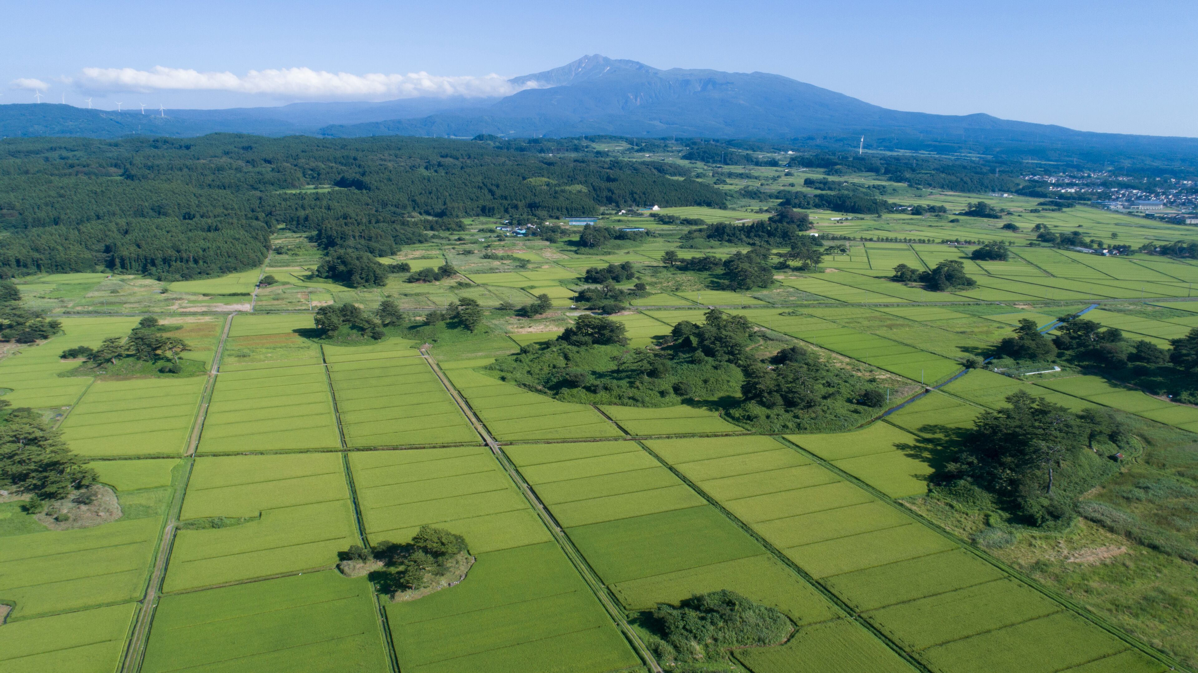 A rural landscape with green fields, scattered trees, and a mountain in the background.