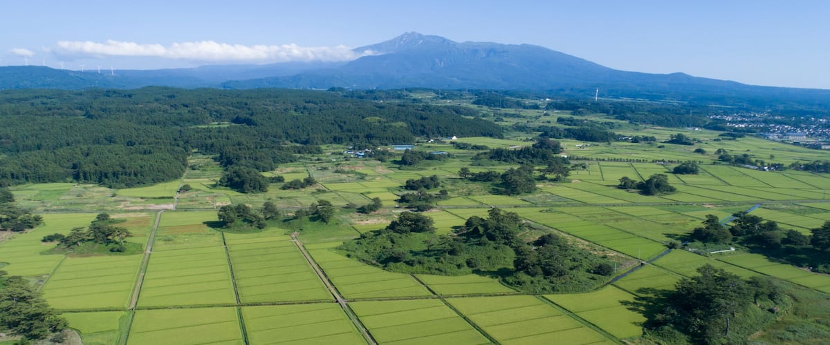 A rural landscape with green fields, scattered trees, and a mountain in the background.