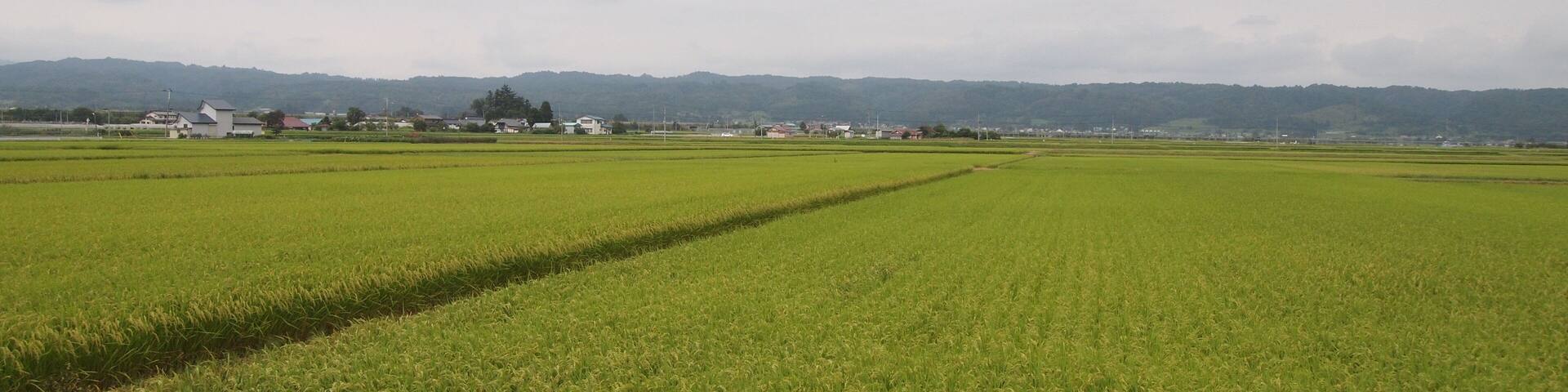 只見線からの風景