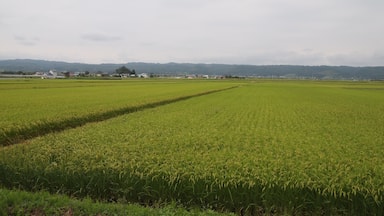 只見線からの風景