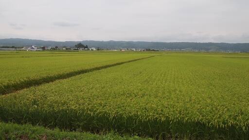 只見線からの風景