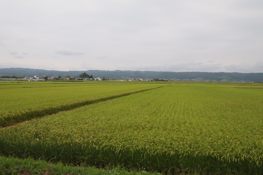 只見線からの風景