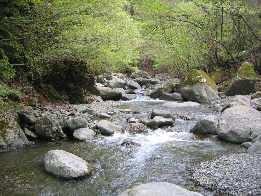 Hontani river