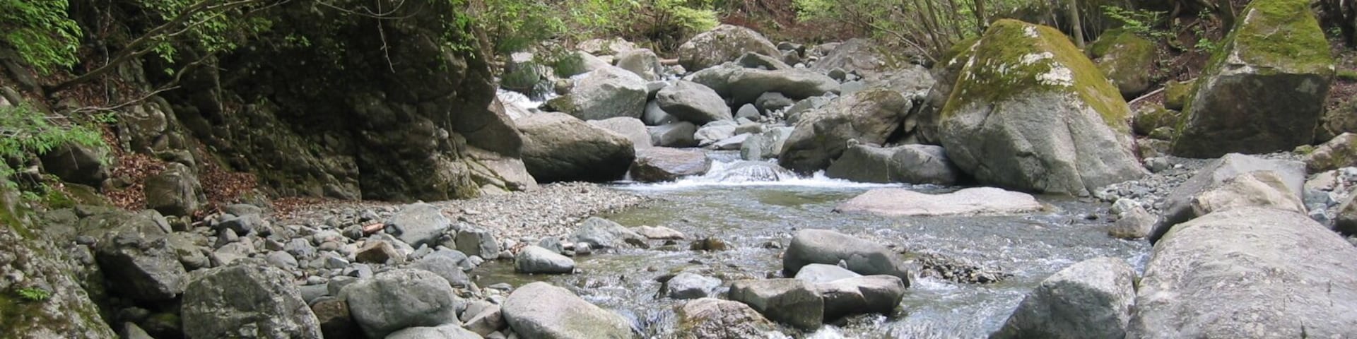 Hontani river