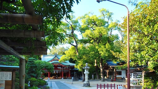 Koshigaya